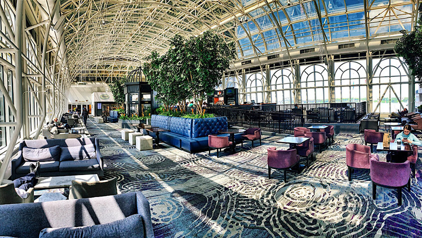 Galt House Conservatory (Inside View)